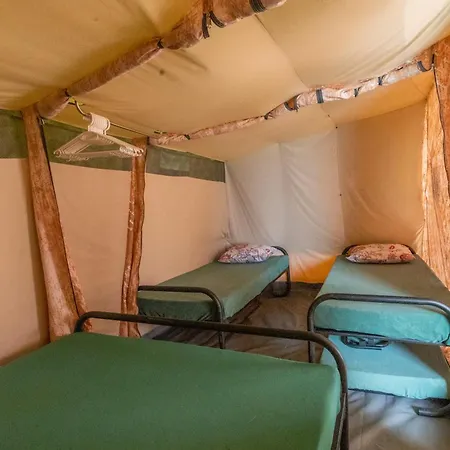Camping Jelling Jelling