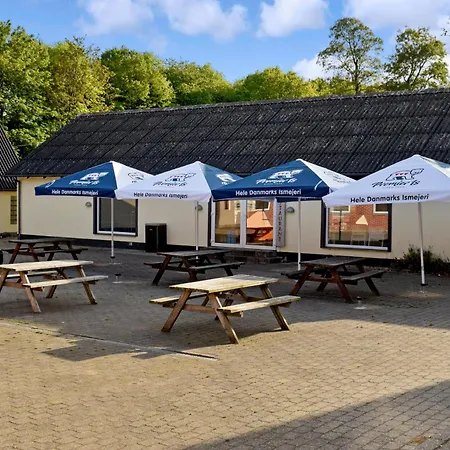 Camping Jelling Jelling